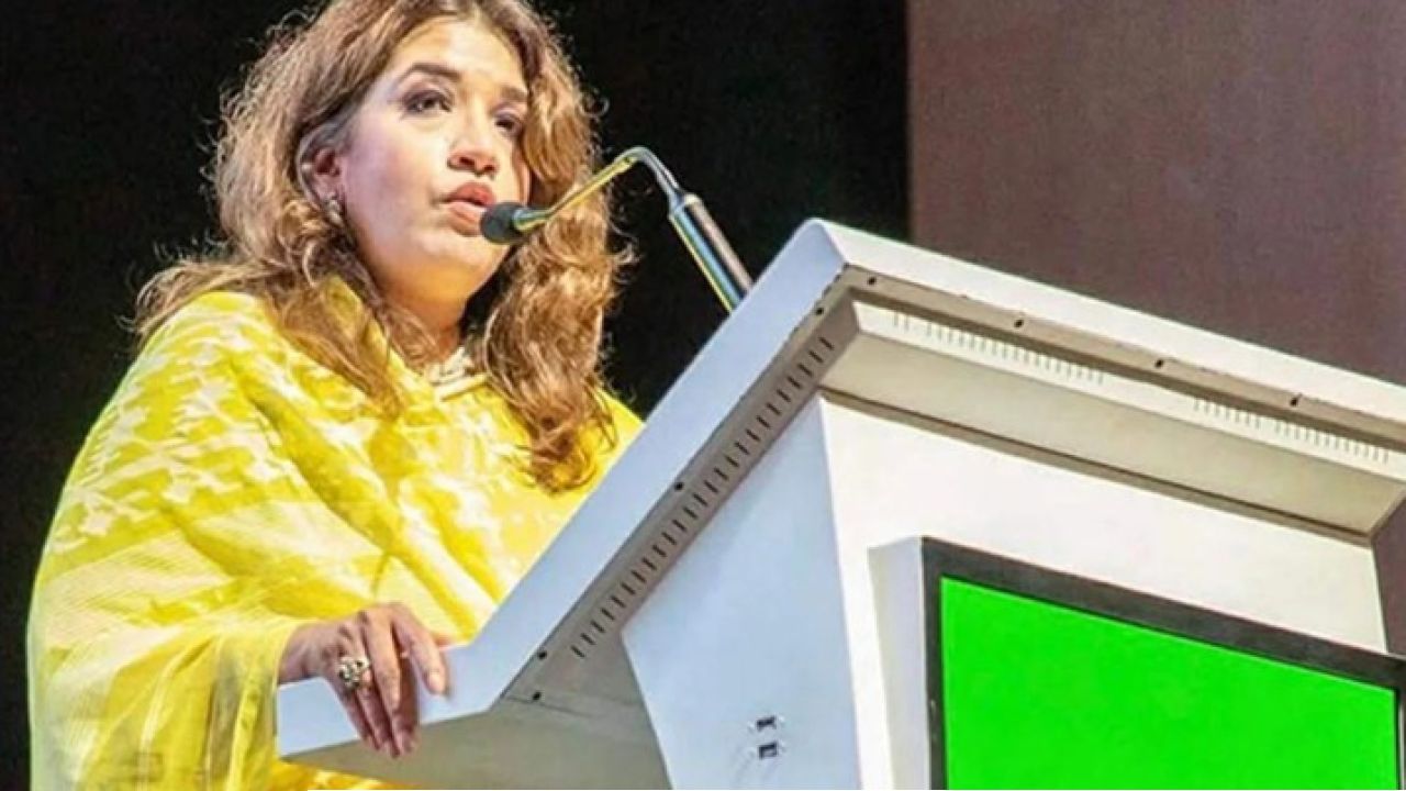 শেখ হাসিনাকে ফেরাতে কূটনৈতিক ঘাটতি নেই: পররাষ্ট্র প্রতিমন্ত্রী