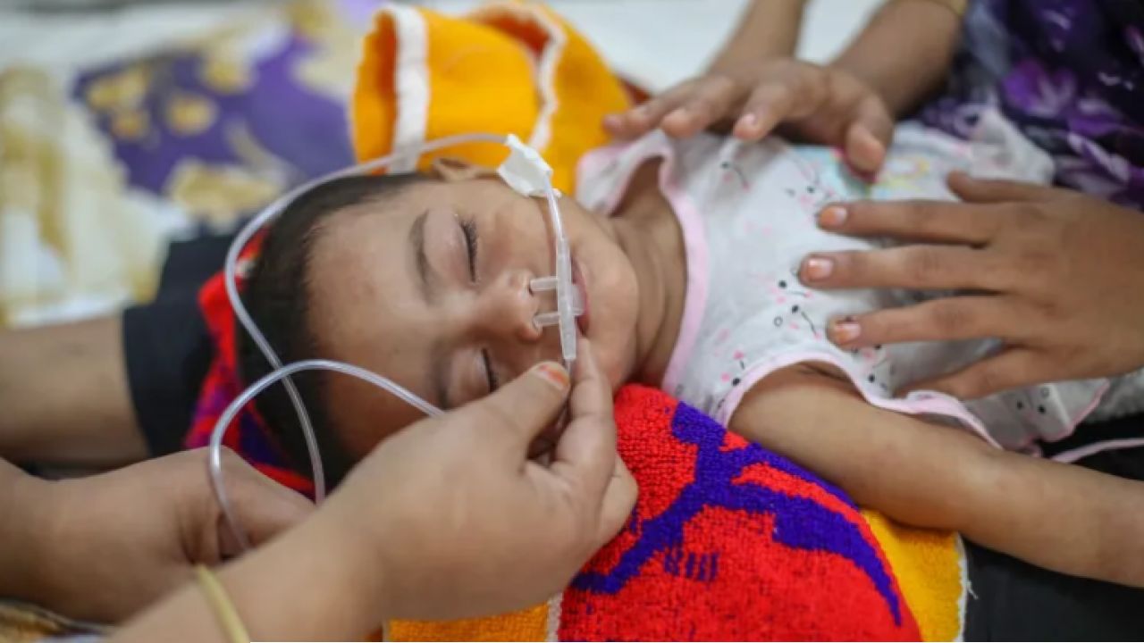 হামে আরও ৭ জনের মৃত্যু