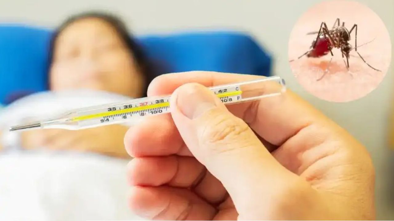 ডেঙ্গুতে একদিনে আরও ১০ জনের মৃত্যু