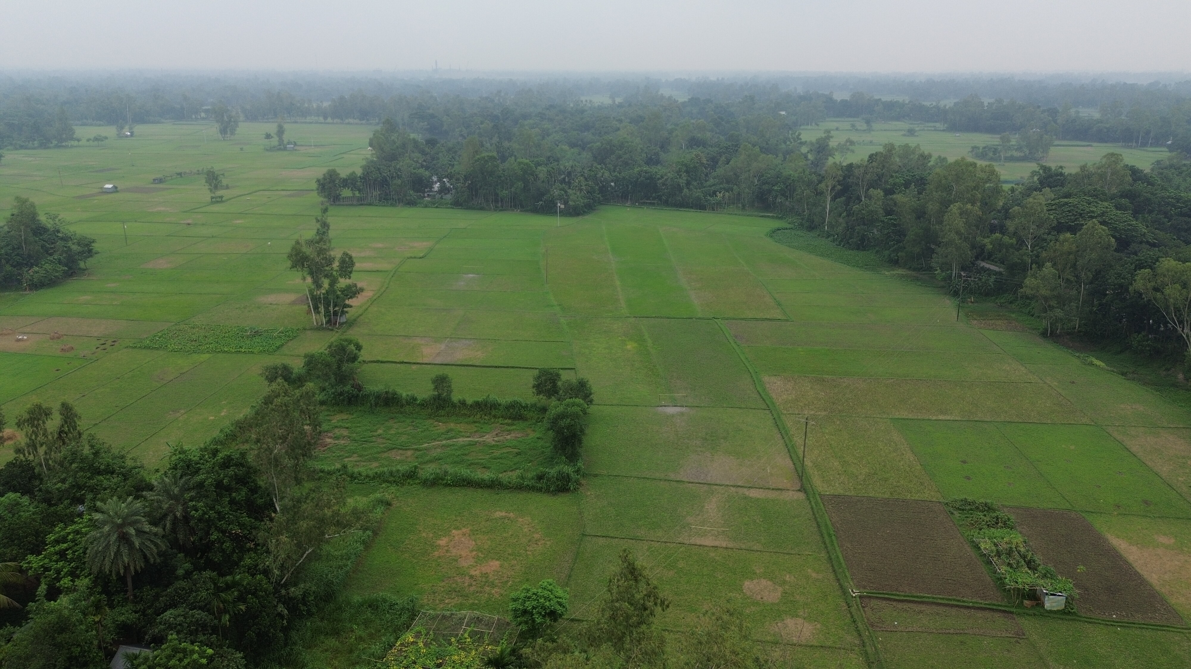 বাংলার প্রাকৃতিক দৃশ্য
