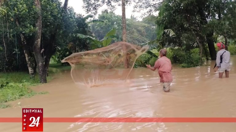 লঘুচাপের প্রভাবে ভারি বৃষ্টিতে নিম্নাঞ্চল প্লাবিত হতে পারে l Editorial News 24