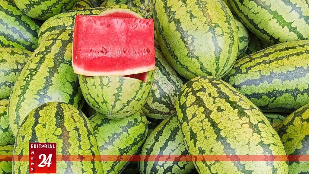 “অসময়ে বাজারে তরমুজের সয়লাব: নতুন কৃষি প্রযুক্তিতে সম্ভাবনার দিগন্ত” l Edditorial News 24