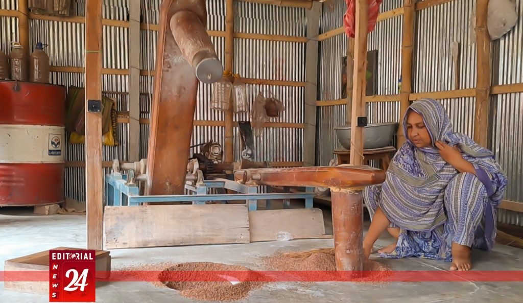 অটো-ঢেঁকিতে চাল ভেনে মাসে ৪০ হাজার টাকা আয়, সাতক্ষীরার নাজমা বেগমের আধুনিকায়িত ঢেঁকি ব্যবসা সাড়া ফেলেছে l Editorial News 24