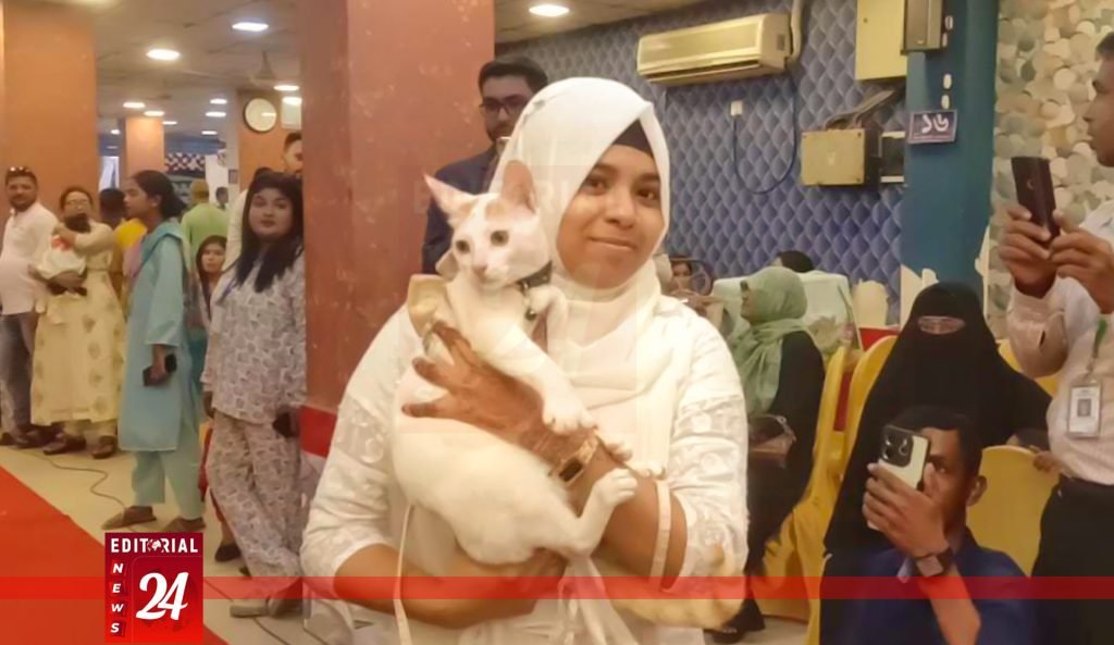 তিন বছর পর বরিশালে জমজমাট ক্যাট শো: বাহারি সাজে লালগালিচায় র‌্যাম্পে আদুরে বিড়ালরা l Editorial News 24