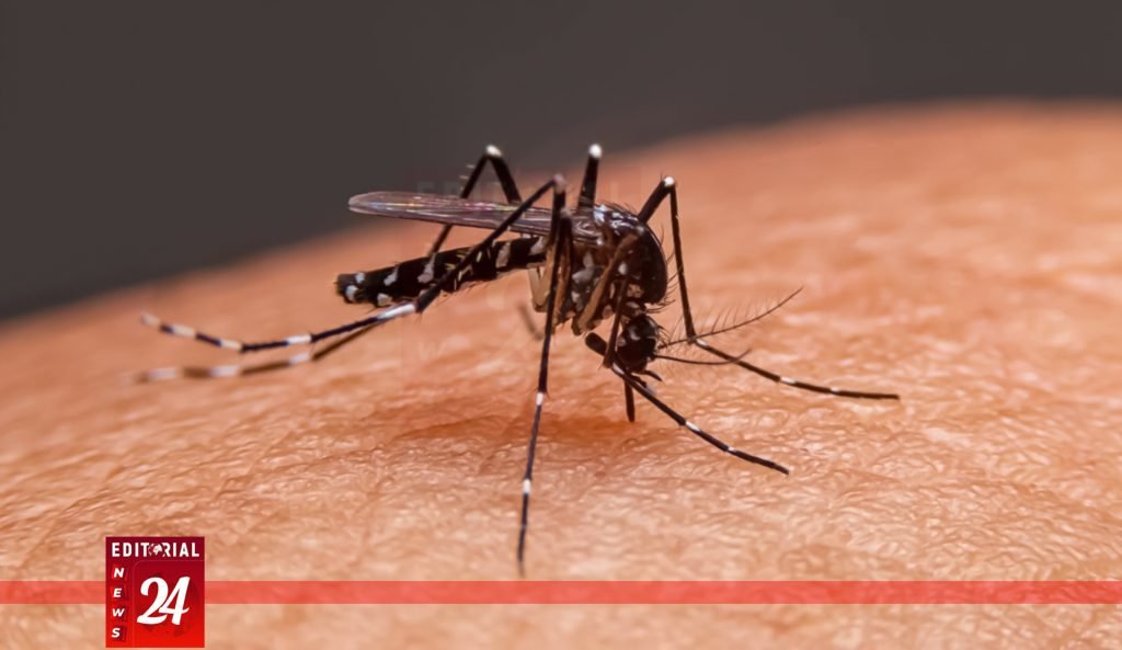 বরিশালের শের-ই বাংলা মেডিকেলে ডেঙ্গু জ্বরে বৃদ্ধের মৃত্যু, নতুন আক্রান্ত ১২৬ l Editorial News 24