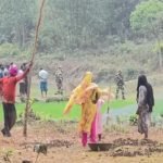 দুই বাংলাদেশিকে গুলি করে হত্যার কারণ জানাল বিএসএফ